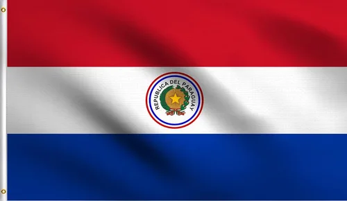 Vista 31 de DMSE - Bandera nacional beninesa beninesa de la República de África Occidental, 2 x 3 pies, 100 % poliéster, 100 % poliéster, resistente a los rayos