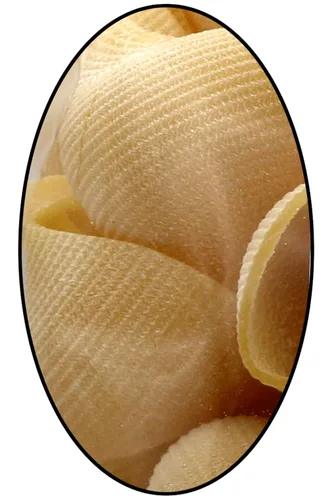 Vista 7 de Maestri Pastai, Gourmet Lumaconi Pasta italiana "pasta caracol cáscara", conchas de pasta grandes acanaladas, también conocida como pasta Lumache