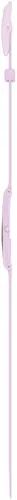 Vista 4 de Watch Swatch Skin Classic Biosourced SS09V101 TIME FOR JOY strap