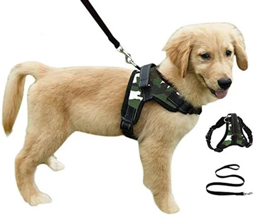 Vista 8 de Juego de arnés de seguridad con correa para perro resistente y ajustable al cuello, correa acolchada que no ocupa que la jales, transpirable