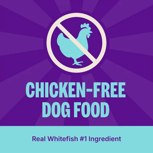 Vista 3 de Wellness CORE+ Alimento seco para perros adultos con trozos liofilizados, croquetas sin granos, natural, alto en proteínas, sin pollo, pescado