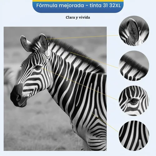 Vista 7 de Juego de 31 botellas de tinta negra 32XL compatibles con HP 31 32XL para Negro