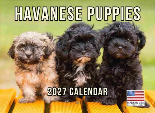 Vista 102 de Calendario mensual de pared Airedale Terrier Dog 2027