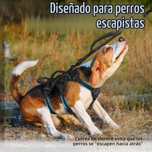 Vista 2 de rabbitgoo Arnés de perro a prueba de escape para pequeños, sin tirones con Negro