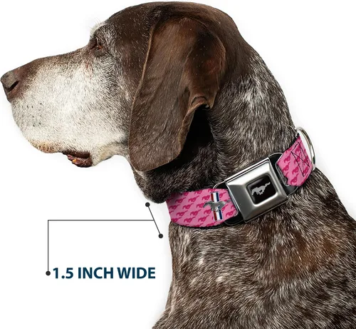 Vista 7 de Collar para perro FM - Mustang w/Barras w/Texto (W30628) - Ancho Pequeño