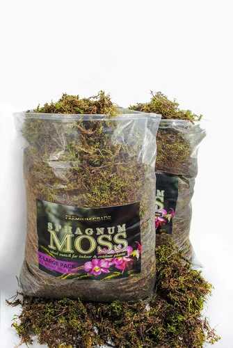 Vista 7 de Musgo esfagnum verde orgánico para orquídeas, plantas de interior y exterior, secado para jardinería decorativa (paquete mini (probador) - 1 litro