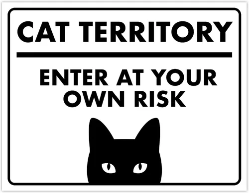 Vista 62 de Señal de Gato de 24 Horas de Vigilancia Felina de Premises Under 24 Hour - Cartel de gato divertido, metal, 8 x 12 pulgadas, letreros de gato