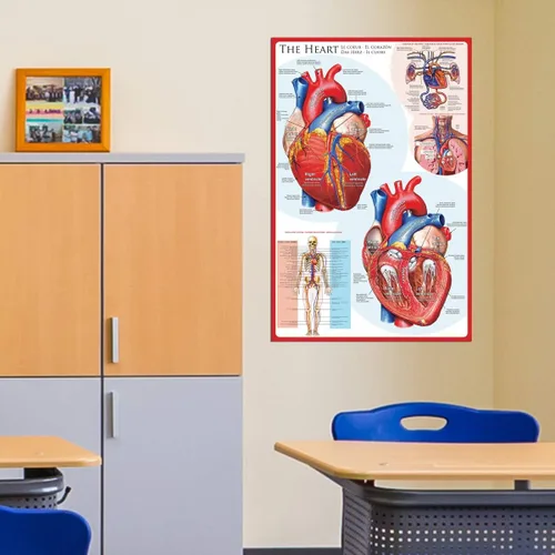Vista 3 de EuroGraphics Póster The Heart, 36 x 24 in