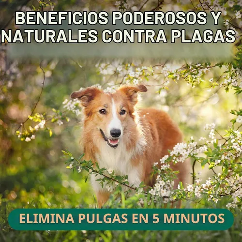 Vista 4 de TropiClean Aerosol natural para pulgas y garrapatas para el hogar, espray de pulgas de máxima resistencia para alfombras y muebles, apto