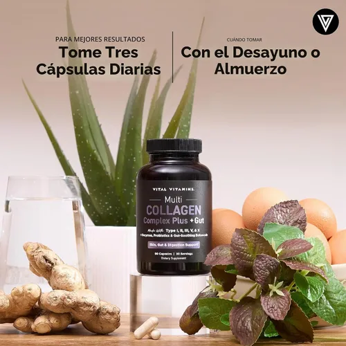 Vista 7 de Vital Vitamins Complejo de colágeno múltiple Plus + intestino, probióticos