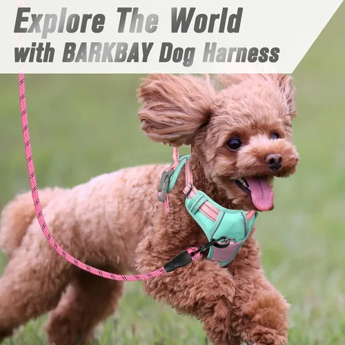 Vista 135 de BARKBAY - Arnés para perro sin tirones con clip frontal, material resistente y reflectante, asa de fácil control para pasear perros grandes