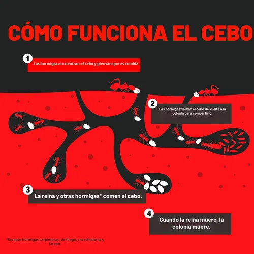 Vista 9 de Amdro - Estaciones de cebo para hormigas, paquete de 8
