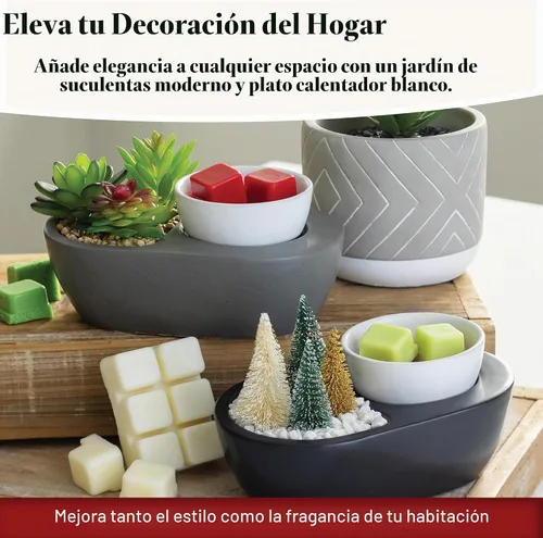 Vista 4 de Candle Warmers Etc. Calentador de Fragancias (Suculenta) Calienta Ceras Perfumadas Derretidas, Cubos y Tartas