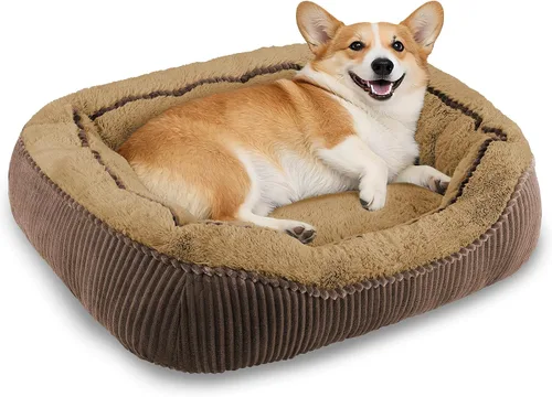 Vista 16 de Camas para perros y gatos pequeños, medianos y grandes. Cama lavable para mascotas, sofá cama ortopédica para perros, cama suave y calmante