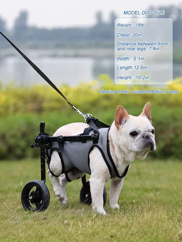 Vista 4 de Silla de ruedas para perros para patas traseras, carrito de ruedas ligero para perros con patas traseras para discapacitados, ajustable