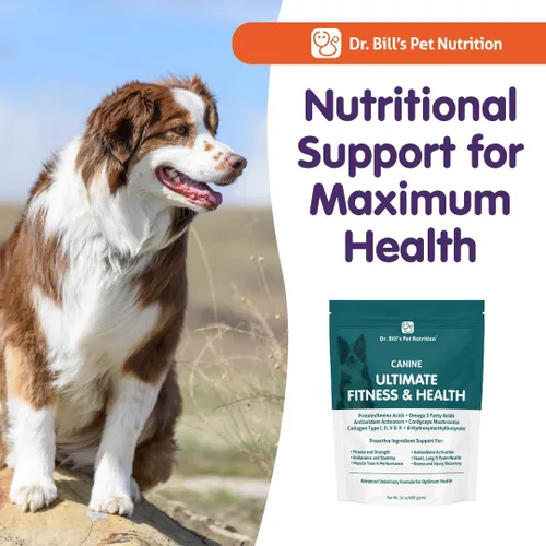 Vista 8 de Dr. Bill's Canine Ultimate Fitness & Health - Multivitamínico diario para perros para energía, longevidad y apoyo de todo el cuerpo - Suplemento