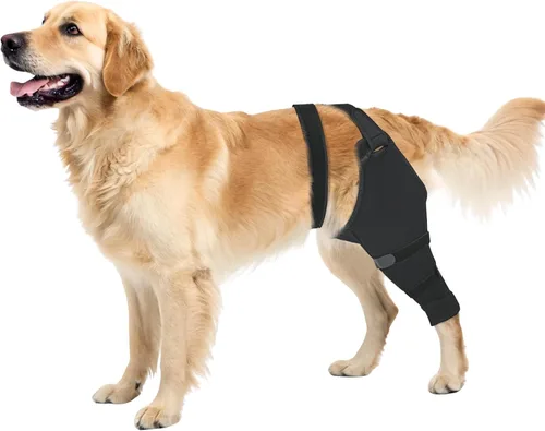 Vista 13 de Funda para patas traseras de perro para dejar de lamer, cubierta mejorada para patas traseras para dejar de resbalar, para cirugía TPLO, condiciones
