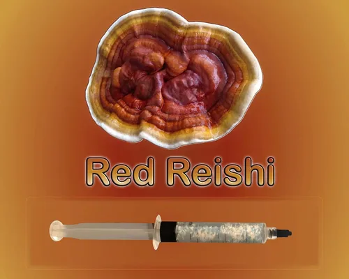Vista 2 de Rojo Reishi (Ganoderma lucidum) Seta Líquido Cultivo 0.4 fl oz
