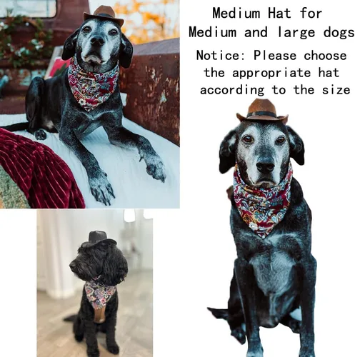 Vista 5 de Sombrero de vaquero para perro con cordón ajustable, bufanda triangular retro y sombrero de perro, sombrero de cosplay para perro, sombrero