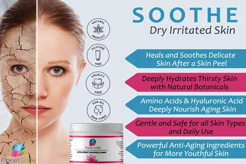 Vista 4 de Planet Eden Crema natural de recuperación antioxidante para piel madura - Alivia y cura con humedad profunda, péptidos y extractos botánicos
