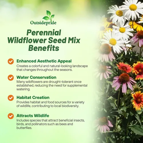 Vista 4 de Outsidepride Mezcla de semillas de flores silvestres perennes de 1 libra para todos los estados