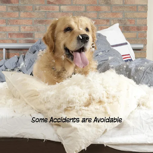 Vista 5 de PETMAKER - Puerta plegable para mascotas para interiores, 4 paneles para escaleras o puertas, valla independiente para mascotas de 73.5 x 32 Blanco