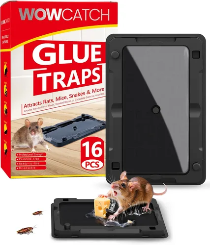Vista 8 de Wowcatch Trampas adhesivas para ratones para interiores para el hogar, paquete de 12 trampas de pegamento para cucarachas, arañas, lagartos