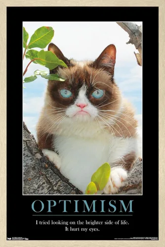 Vista 7 de Trends International Grumpy Cat - El Lado Más Brillante Póster de Pared, 14.725 x 22.375 pulgadas, Versión Enmarcada de Madera de Granero