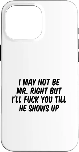 Vista 19 de I May Not Be Mr. Right But I’ll Fuck You Till He Shows Up Case for iPhone 17