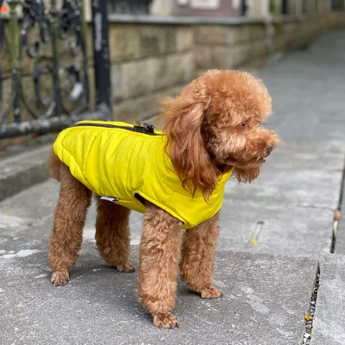 Vista 7 de Lovelonglong - Chaleco de invierno para perro con forro de algodón, impermeable, ultra cálido, abrigo de invierno para perros pequeños, medianos