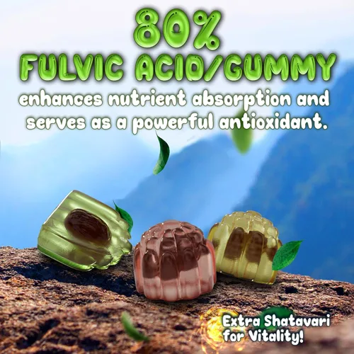 Vista 7 de OH MY CHEWY Gomitas puras de Shilajit del Himalaya, resina de grado dorado de alta potencia, refuerzo de energía y apoyo inmunológico para hombres