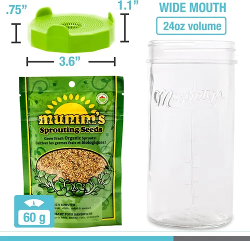 Vista 7 de Masontops Mason Jar - Juego de iniciación de tarro de germinación de frijoles, kit de brotes de frijoles fácil de bricolaje con semillas orgánicas