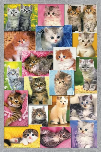 Vista 13 de Trends International Keith Kimberlin - Póster de pared de collage de gatitos, 14.725 x 22.375 pulgadas, versión enmarcada de madera de granero