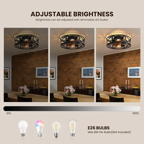Vista 4 de Ventiladores de techo enjaulados de 20 pulgadas con luces, moderno ventilador de techo regulable con control remoto de luces, ventilador de techo
