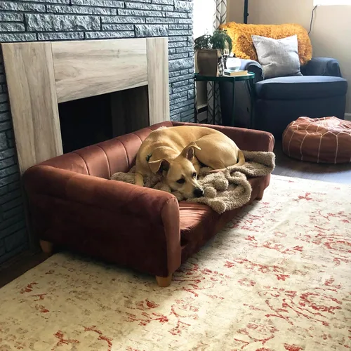Vista 9 de CRITTER SITTERS Sofá rectangular de terciopelo sintético marrón de 42 pulgadas para perros medianos y grandes, sofá de felpa elevada para perros