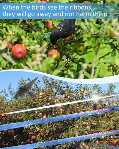 Vista 5 de 2 cintas de 502 pies para asustar pájaros, cinta holográfica reflectante de doble cara, dispositivos repelentes de pájaros audibles visuales