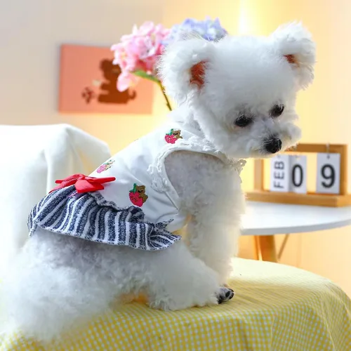 Vista 2 de Chihuahua Yorkies - Vestidos de princesa de verano, lindo vestido de oso, trajes para cachorros para perros pequeños, niña, clip de mariposa a