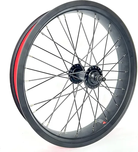 Vista 3 de 20x4.0 Rueda de bicicleta delantera gorda en bicicleta de nieve 20 pulgadas doble pared doble cojinete cubo 36x12G radios 5.315 in caída freno