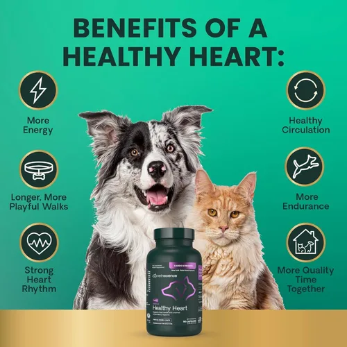 Vista 6 de Suplemento VetriScience Cardio Strength para el corazón
