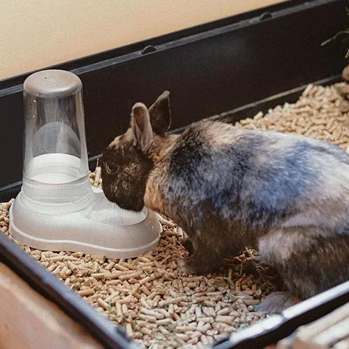 Vista 5 de Ferplast AZIMUT 600 Dispensador de alimentos o agua para perros y gatos Dispensador de alimentos secos Alimentador de agua 0,6 litros, fondo Blanco