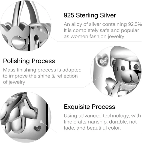 Vista 6 de Encanto para bolso de compras para mujer, plata de ley S925, para pulseras Pandora