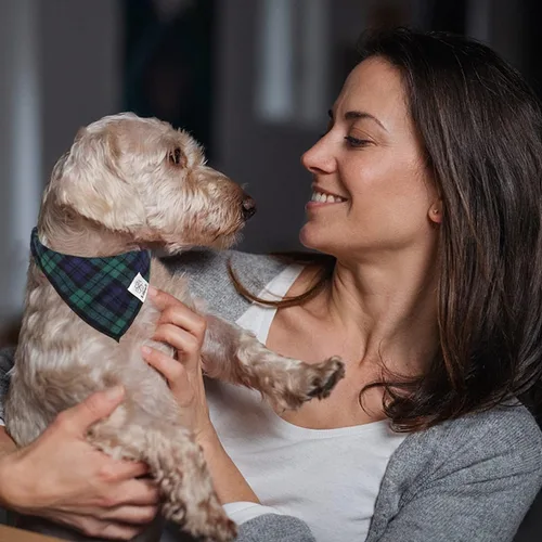 Vista 5 de E-Clover Bandanas navideñas para perros, bufanda a juego para el propietario, bufanda a cuadros para perro, baberos con bufandas de tartán, chal