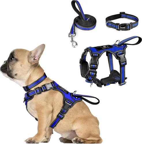 Vista 17 de Juego de arnés reflectante todo en uno para perro, collar y correa, sin tirones con hebillas ajustables, talla XL, azul oscuro