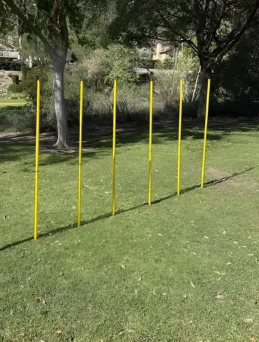 Vista 10 de BlueDot Trading Bastones de entrenamiento de velocidad de agilidad de fútbol multideporte, fijos, ajustables o plegables (juegos de 4, 6, 8 piezas)