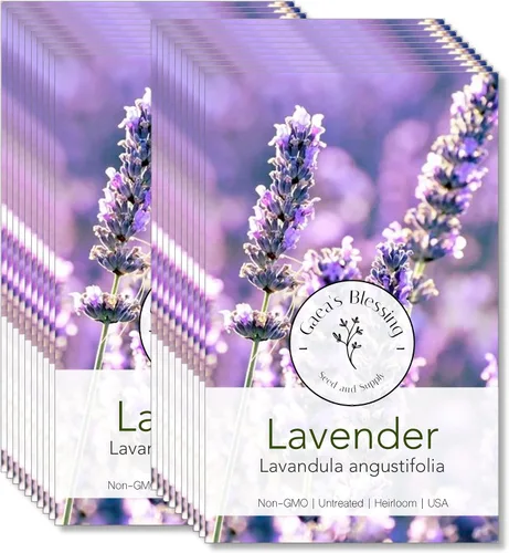 Vista 5 de Gaea's Blessing Semillas – Semillas de lavanda inglesa – Semillas tradicionales sin OMG con instrucciones fáciles de seguir – Vera True Lavender