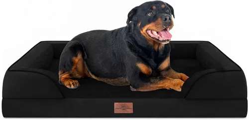 Vista 170 de Comfort Expression - Cama ortopédica para perros medianos, 28 x 19 pulgadas, cama impermeable y de apoyo de espuma con cojines removibles, sofá