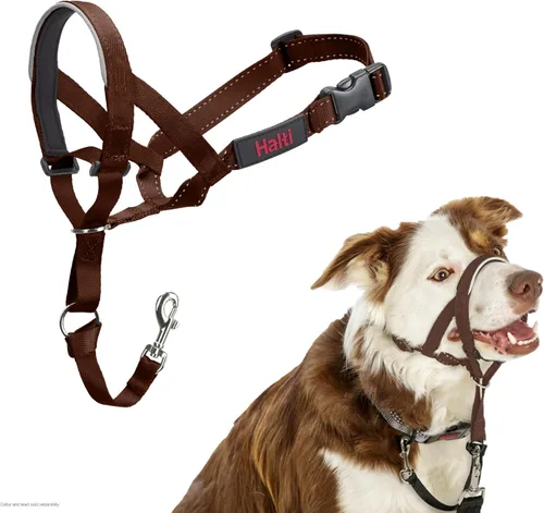 Vista 13 de Collar Halti - Detén a tu perro de tirar de la correa. Ajustable, reflectante y ligero, con banda nasal acolchada. Collar anti-tirón de Negro