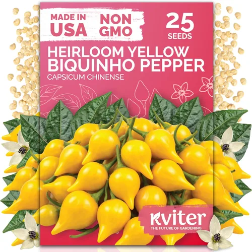 Vista 25 de KVITER 50 semillas de calabaza de azúcar orgánicas (Cucurbita Pepo) – Semilla de calabaza pequeña reliquia, carne dulce de grano fino para enlatar
