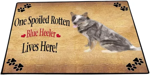 Vista 23 de Doggie of the Day Blue Heeler Dogs Floor Mat - 4th of July Independence Day - Best Dog Doormat - Protector Decor - Unique Portrait Art - Premium