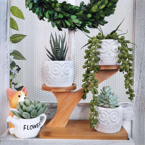 Vista 4 de 3 piezas Macetas para Suculentas de Búho con Soporte de Platillos de Bambú de 3 Niveles - Maceta Decorativa Moderna de Cerámica Blanca con Drenaje